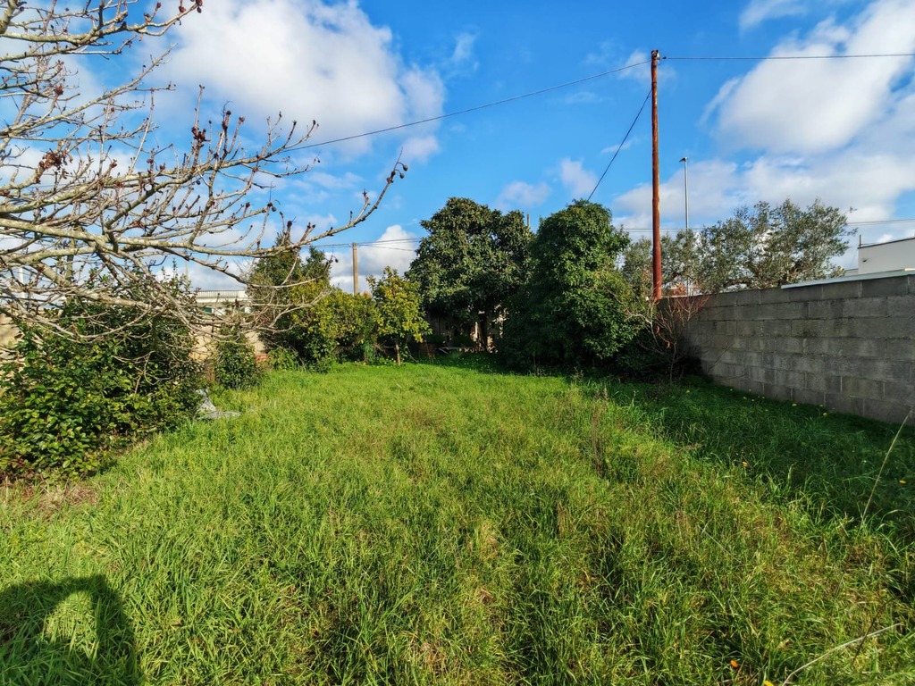 Giano Group Immobiliare